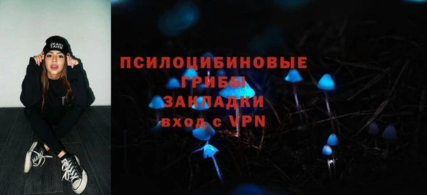 ешки Осинники