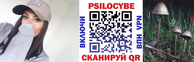 Галлюциногенные грибы Psilocybe Агидель
